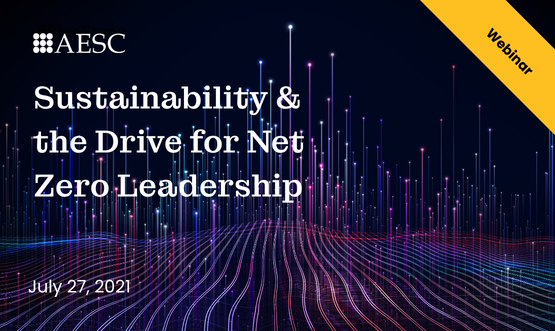 Sustainability & the Drive for Net Zero Leadership